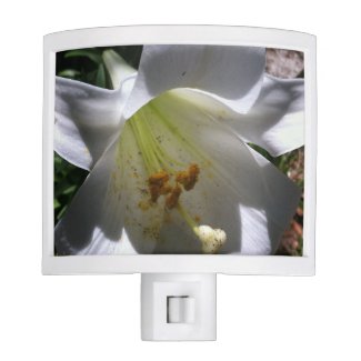 Easter Lily Shadow Night Lites