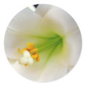 Easter Lily stickers by CyrScenes Easter Lily stickers
