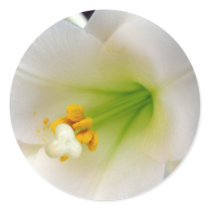 Easter Lily stickers