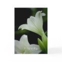 Easter Lily • Sympathy Card