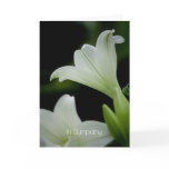 Easter Lily • Sympathy Card