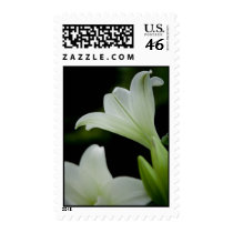 Easter Lily • Sympathy Stamp by SabineStGreetings Easter Lily • Sympathy Stamp