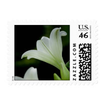 Easter Lily • Sympathy Stamp by SabineStGreetings Easter Lily • Sympathy Stamp