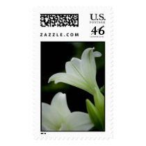 Easter Lily • Sympathy Stamp by SabineStGreetings Easter Lily • Sympathy Stamp