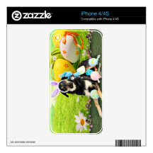 Easter - Mixed Breed - Jake iPhone 4S Decal