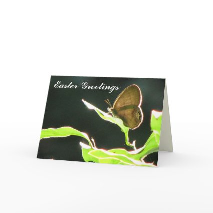Easter Morn Card card