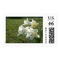 Easter Morning postage by closphotos Easter Morning postage
