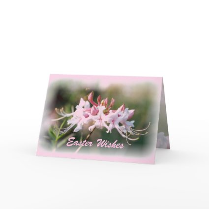 Easter Native Azalea Card card