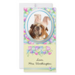 Easter Photo Cards for your pets!