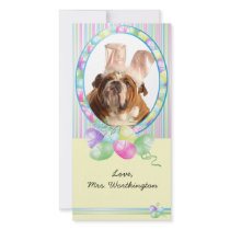 Cartões da foto de Easter para seus animais de est cartões de fotografias by DoggieAvenue Cartões da foto de Easter para seus animais de est cartões de fotografias