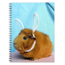 Easter Piggy Notebook notebooks