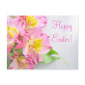 Easter Pink Lily Postcard