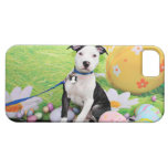 Easter - Pitbull  - Gunner iPhone 5 Covers