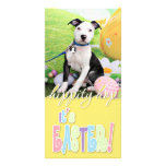 Easter - Pitbull  - Gunner Photo Cards