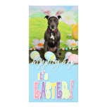 Easter - Pitbull  - Puddin Head Customized Photo Card