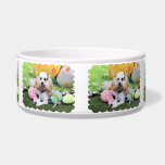 Easter - Poodle - Dolly Pet Food Bowl