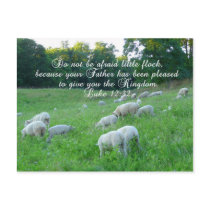 Easter Postcard by avisnoelledesigns Easter Postcard