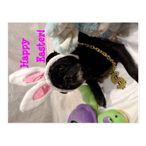 Easter Pug postcard