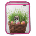 ipad 2 rumors | pug,pugs,mop,mops,animal,animals,pet,pets,puppy,pu pug,pugs,mop,mops,animal,animals,pet,pets,puppy,pu