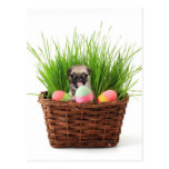 Easter pug puppy postcards