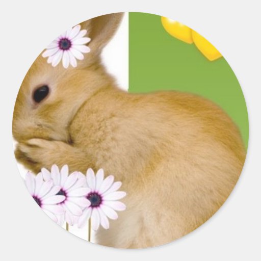 easter rabbit round sticker