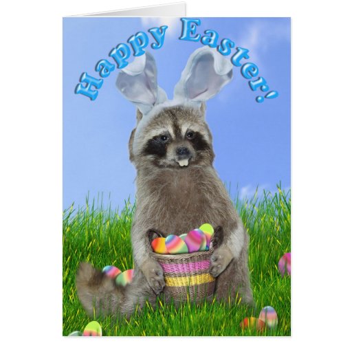 Easter Raccoon Bandit Greeting Cards