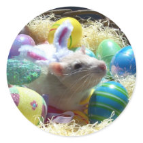Easter Rat Stickers