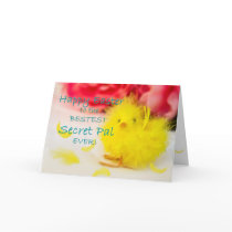 Easter-Secret Pal - Chick Cards
