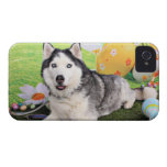 Easter - Siberian Husky - Luka iPhone 4 Cover
