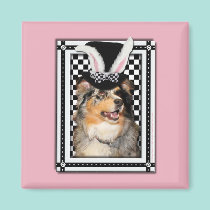 Easter - Some Bunny Loves You  Australian Shepherd magnets