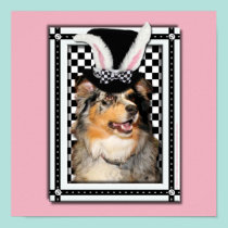 Easter - Some Bunny Loves You  Australian Shepherd posters