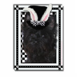 Easter - Some Bunny Loves You - Cairn Terrier Photo Cut Out
