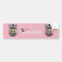 Easter - Some Bunny Loves You - Cavalier Blenheim Bumper Sticker