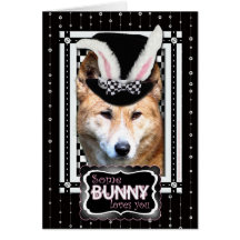 Easter - Some Bunny Loves You - Dingo Greeting Cards