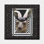 Easter - Some Bunny Loves You - Kangaroo Magnets
