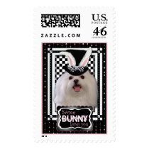 Easter - Some Bunny Loves You - Maltese Stamps