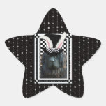 Easter - Some Bunny Loves You - Newfoundland Star Stickers