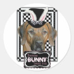 Easter - Some Bunny Loves You Rhodesian Ridgeback Sticker