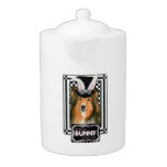 Easter - Some Bunny Loves You - Sheltie