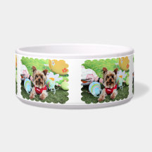 Easter - Yorkshire Terrier - Sassy Dog Food Bowls