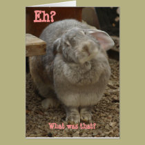 Easter, you say? cards