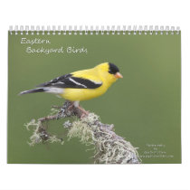 Eastern Backyard Birds Wall Calendars
