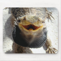 Eastern Bearded Dragon - Pogona barbata mousepads