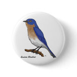 EASTERN BLUEBIRD PINS