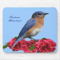 Eastern Bluebird Camellia Mousepad mousepad