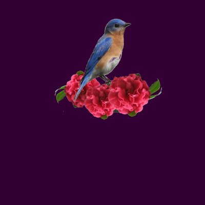 Eastern Bluebird Camellia T-Shirt by naturegirl7