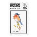 eastern bluebird, Eastern Bluebird postage by Eye4birds eastern bluebird, Eastern Bluebird postage