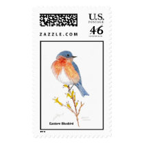eastern bluebird, Eastern Bluebird postage by Eye4birds eastern bluebird, Eastern Bluebird postage