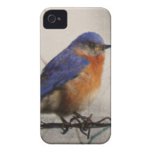 Eastern Bluebird iPhone 4 Case