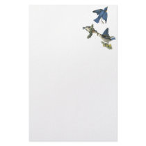 Eastern Bluebird, John Audubon Stationery Design